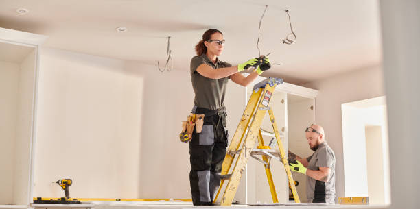 Best Electric Panel Repair  in South Hill, VA